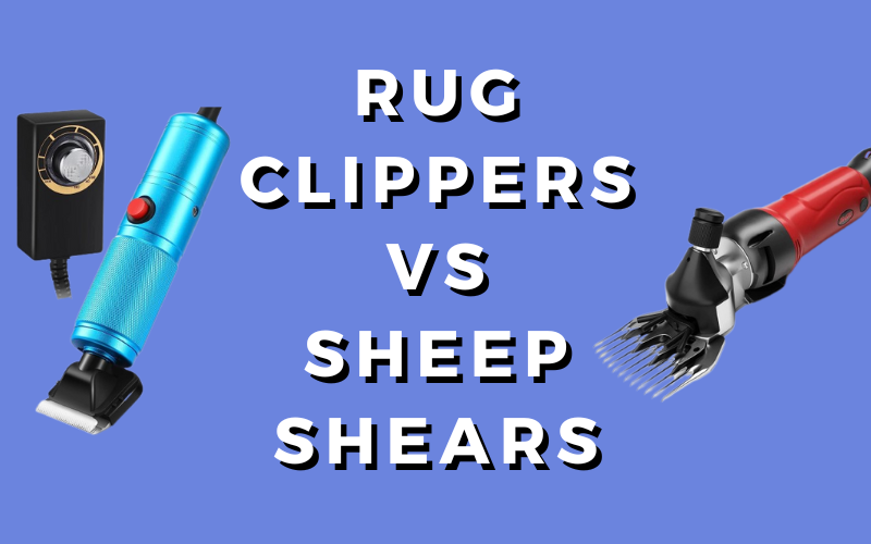 Rug_Clippers_Vs_Sheep_Shears